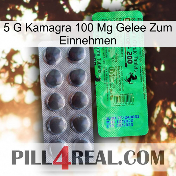 5Gm Kamagra 100Mg Oral Jelly new04